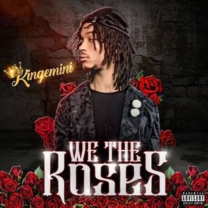 Meet your Posher, Kingemini